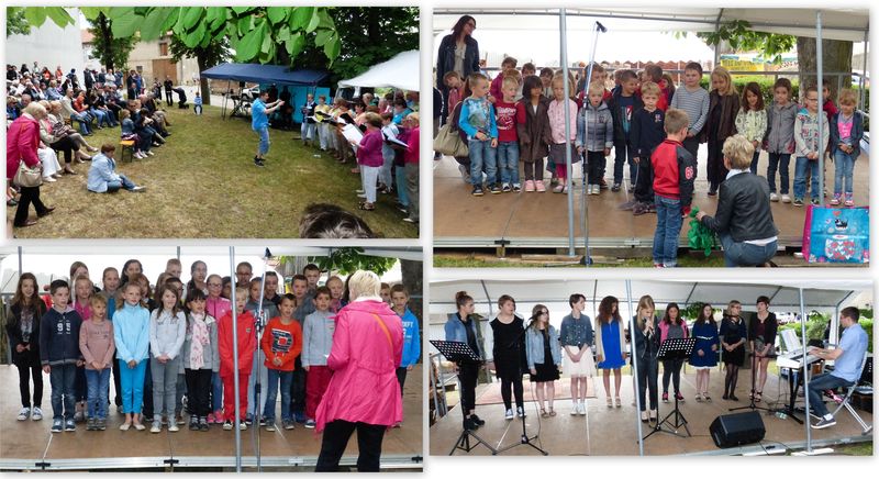 Les jeunes 2015r
