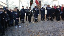 11 novembre