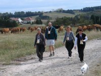 2009--J-montée-du-château-d'eau-03