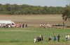 2010-marche_gourmande_001
