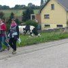 Marche-2015--084
