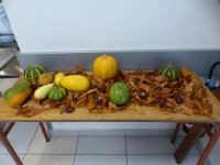 MG-2017-A-accueil-05