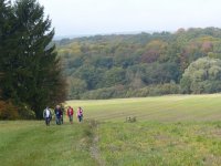 MG-2017-E-vers-soupe-01