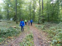 MG-2017-E-vers-soupe-13