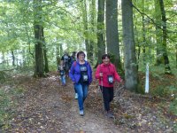 MG-2017-E-vers-soupe-21