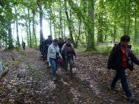 MG-2017-E-vers-soupe-23