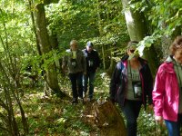 MG-2017-E-vers-soupe-31