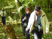 MG-2017-E-vers-soupe-37