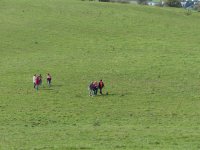 MG-2017-G-vers-entree-05