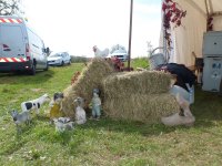 MG-2017-M-desserr-29