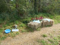 MG-2017-M-desserr-31