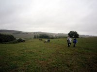 MG-2018-056