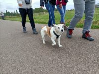 Marche-gourmande-2022-074