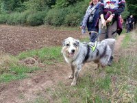 Marche-gourmande-2022-077