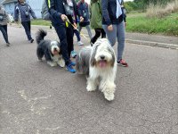 Marche-gourmande-2022-113