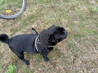 Marche-gourmande-2022-166