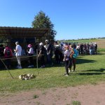 Marche Gourmande 2023