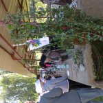 Marche Gourmande 2023