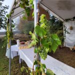 Marche Gourmande 2023