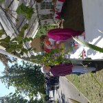 Marche Gourmande 2023