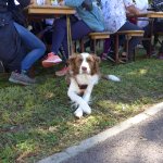 Marche Gourmande 2023