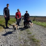 Marche Gourmande 2023