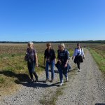 Marche Gourmande 2023