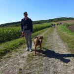 Marche Gourmande 2023