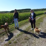 Marche Gourmande 2023