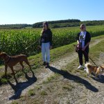 Marche Gourmande 2023