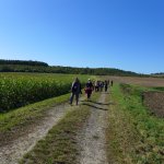 Marche Gourmande 2023