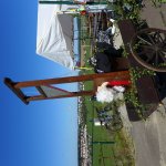 Marche Gourmande 2023