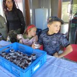 Marche Gourmande 2023