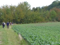 2024-06-vers-entree-004