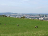 2024-06-vers-entree-008