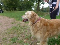 2024-10-vers-fromage-006